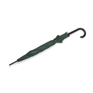 Parapluie STICK vert automatique poignée bois personnalisable | Apothiclick