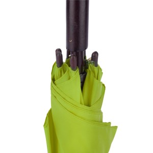 Parapluie STICK vert clair automatique poignée bois personnalisable | Apothiclick