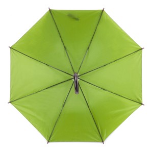 Parapluie STICK vert clair automatique poignée bois personnalisable | Apothiclick
