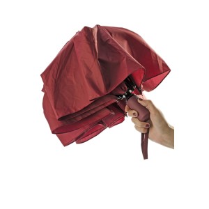 Parapluie pliant REGO automatique personnalisable DTF | Apothiclick