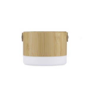 Enceinte sans fil RORAT