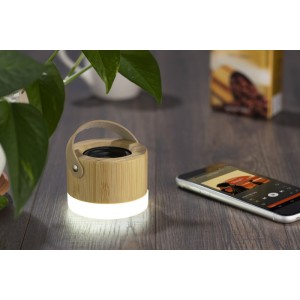 Enceinte sans fil RORAT