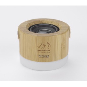 Enceinte sans fil RORAT