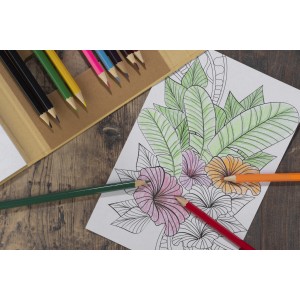 Livre de coloriage avec crayons BETSO