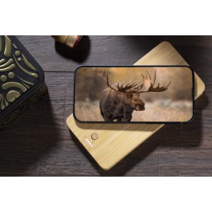 Powerbank BORRA 10000 mAh