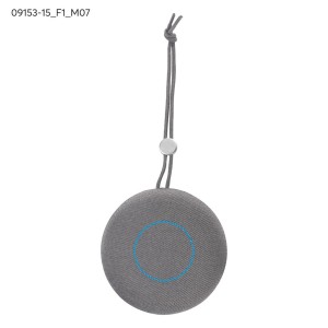 Enceinte sans fil MAGNO