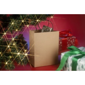 Sac papier kraft PAKLO moyen – 200 g – poignées torsadées noires