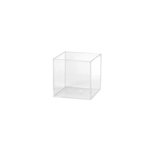 Cube plexiglas transparent – 100 x 100 x 100 mm